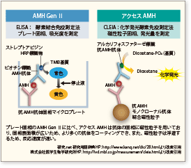 図3：アクセスAMHとAMH Gen Ⅱの測定原理比較